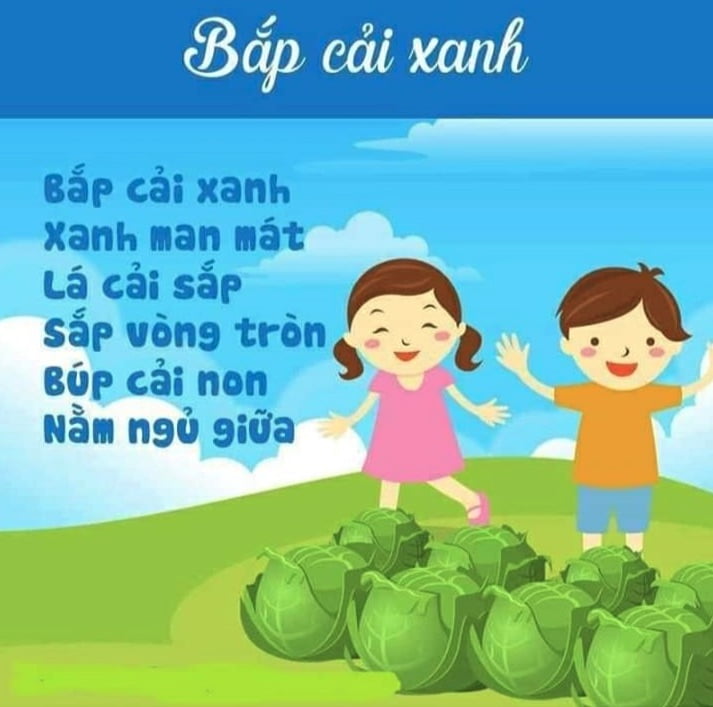 Bắp xải xanh | Bài thơ Bắp xải xanh