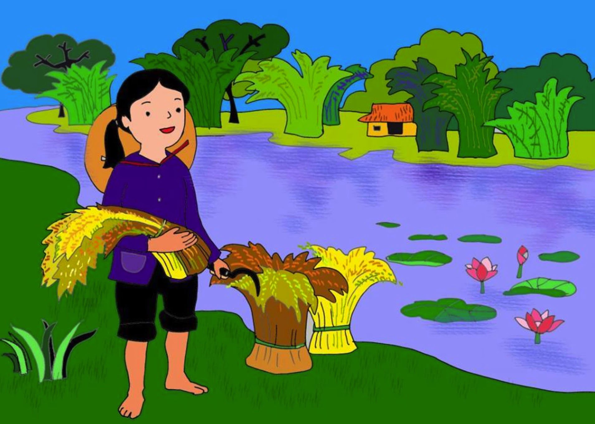 Hạt gạo làng ta: Có hương sen thơm, Trong hồ nước đầy