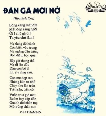 Bài thơ Đàn gà mới nở (Phạm Hổ)